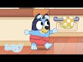 Bluey Puppies Bluey