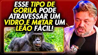 The Myth of 100 Men vs. 1 Gorilla! Richard Rasmussen Explains What No One Has Ever Said.