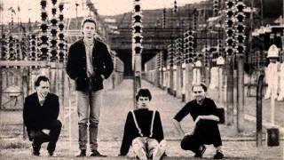 The Chills - Dead Web