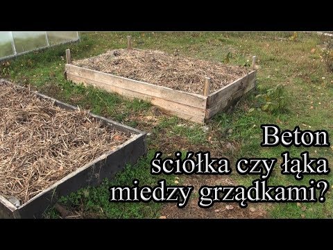 Beton, ściółka czy łąka miedzy grządkami?