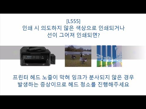 L555 헤드 청소 방법