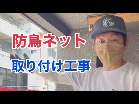 ムクドリをバルコニーのテラス屋根のスパイクから遠ざける方法 揮発性のないスパイク