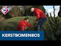 Moordrecht heeft een eigen kerstbomenbos - OMROEP WEST