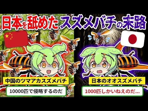 スズメバチについて詳しく解説