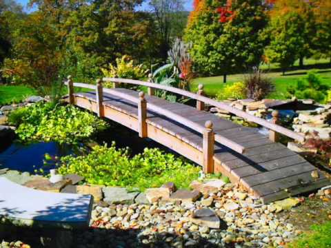 Backyard Garden