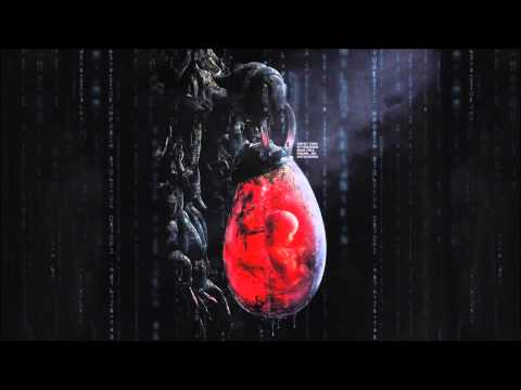 Umbra et Imago - Perfect Baby