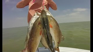 Lower Laguna Madre Red FIsh And Speckled Trouts-Aquaholic Charters