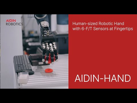 AIDIN Hand Gen1 Review Video 1