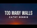 Cathy Dennis - Too Many Walls (Lyrics)