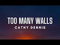 Cathy Dennis Too Many Walls Lyrics