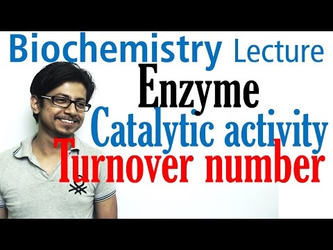Catalytic efficiency (kcat/km) and turn over number of enzyme