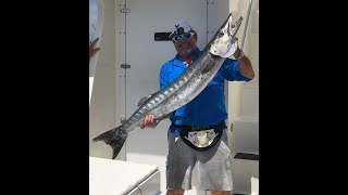 31.5 Pound Barracuda Jumps in Boat!