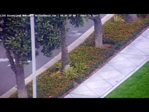 Live webcam of Disneyland Cam