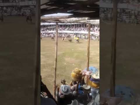 Sincelejo sucre @toro