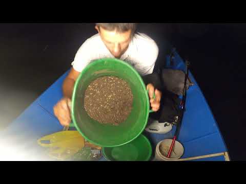 Nocni Feeder Ribolov - krupna Mrena na Savi 4k