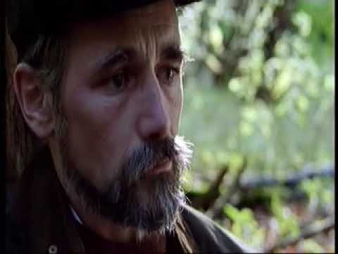 The Government Inspector (2005)