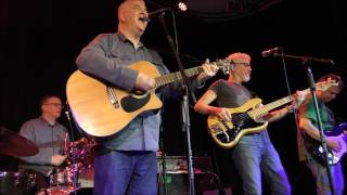 The Orchids - Apologies (New Continental - Preston)