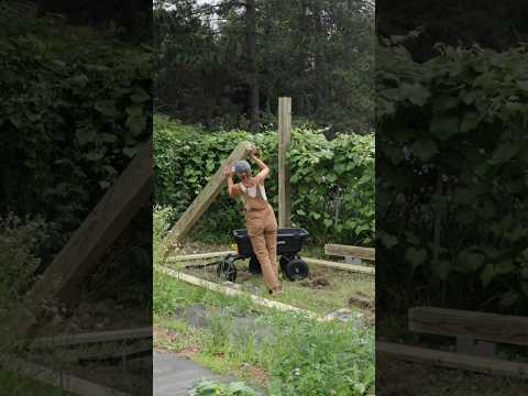 build a garden deck with me #deckbuild #outdoorliving #woodworking #doityourself #gardendesign