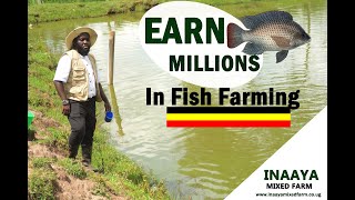 How To Start A Successful Fish Farming Business In Uganda