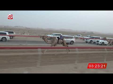  ش 3 (علاج) لـ علي ناصر بن سعيد العويسي 6:25 ، مهرجان العين 2026/08/08 ثنايا سويحان