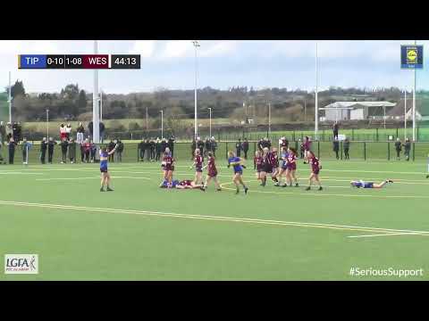 2023 01-22 Tipperary v Westmeath - Lidl NFL Div 2 Highlights
