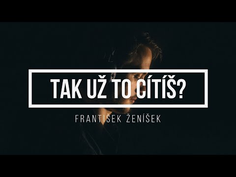 František Ženíšek - František Ženíšek - TAK UŽ TO CÍTÍŠ?
