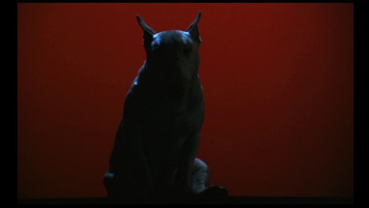 Baxter (1989) Bande annonce française