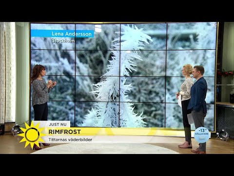 Fukten klär Sverige i vinterskrud - Nyhetsmorgon (TV4)