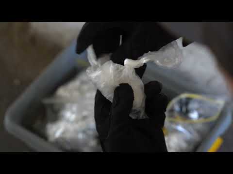 "CZYSTE WAKACJE" - STOŁECZNI POLICJANCI ZWALCZAJĄ PRZESTĘPCZOŚĆ NARKOTYKOWĄ