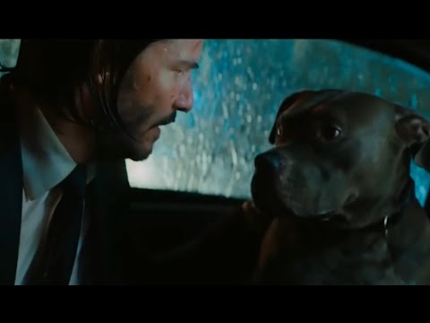 John Wick in my mind