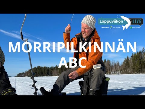 Morripilkinnän ABC | Loppuviikon LivE