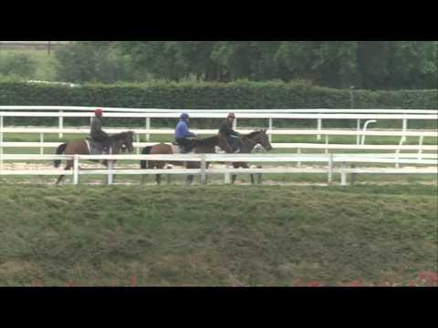gde course de haies auteuil uddy senonnes 03 06 14