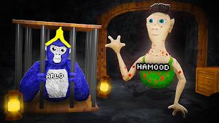 Download lagu Arlo went MISSING in Gorilla Tag mp3 Download lagu Arlo went MISSING in Gorilla Tag mp3