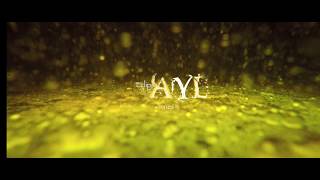 VAyL - Amnesia (official Video 2017)