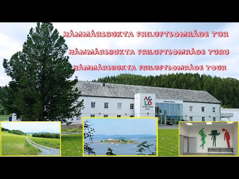 Is Norway one of the greenest countries in the world? | Relaxing trip to Norway nature!