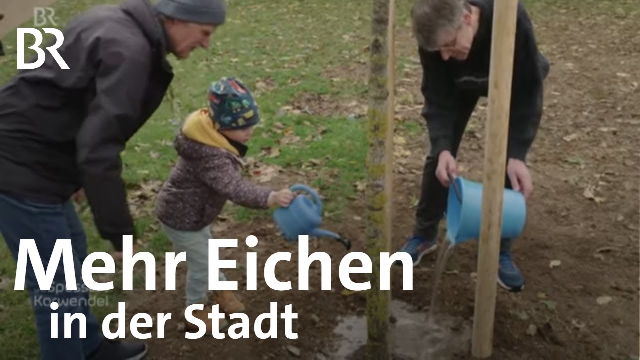 youtube video id=LLJjptlqnio