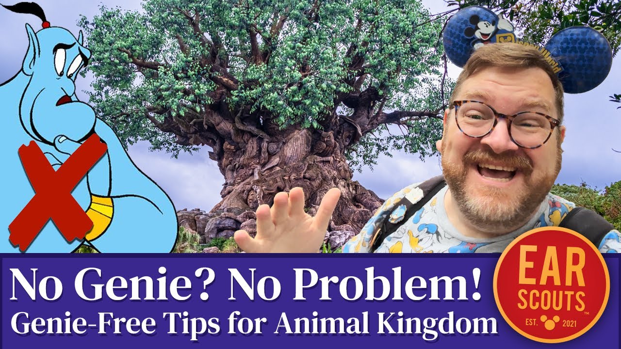 No Genie? No Problem! How to Do Everything at Animal Kingdom Without Fancy Perks at Disney World