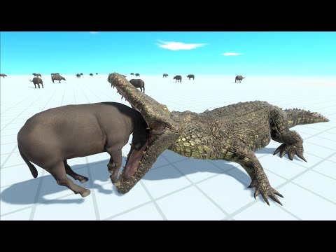 😱 WATCH WHAT HAPPENS WHEN A CROCODILE WALKS INTO A WORLD FULL OF BUFFALOS