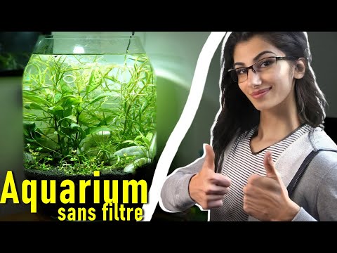 Je fabrique un aquarium pour ma soeur