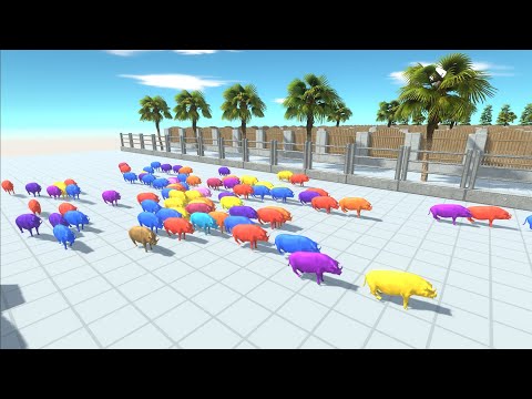 SPEED RACE COLORS PIGS FASTEST HUNT ANIMALS & HUMANS GANG   Animal Revolt Battle Simulator