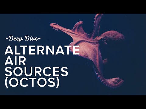 Let's Talk About Alternate Air Sources (Octos) | Deep Dive