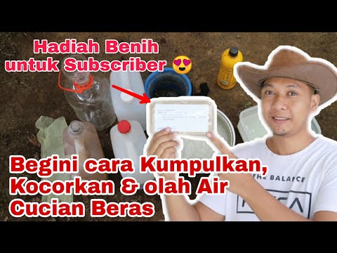 , title : 'Cara mengumpulkan, menyimpan, mengolah Air Cucian Beras. Hadiah Benih tanpa batas waktu'