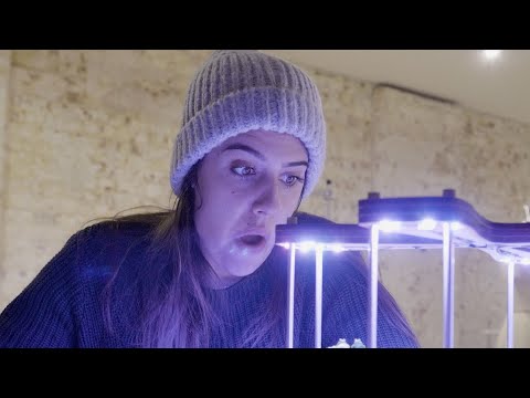 Four 3D Zoetrope Animations