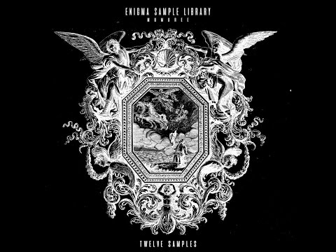 [FREE] "ENIGMA" - Sample Pack/Loopkit [Cubeatz, Pvlace, Pyrex Whippa, Travis Scott]