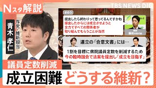 【衆議院 議員定数削減】与野党の攻防激しく…成立は困難　自民と維新で温度差も【Nスタ解説】｜TBS NEWS DIG