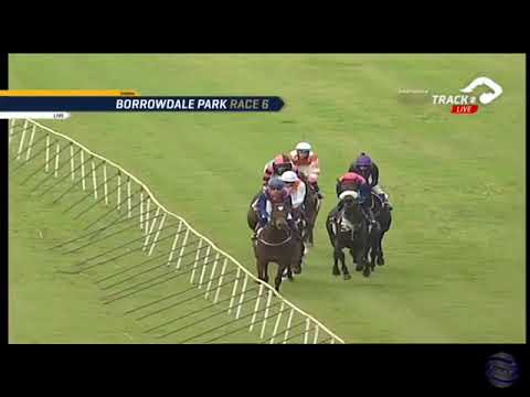 2019.04.28 Zimbabwe Derby - Three to Tango