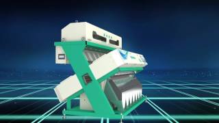 Venta de Taihong TAIHO seleccionadora - Imagen 4 | Machineryline PY Taihong TAIHO seleccionadora nueva | Imagen 4 - Machineryline