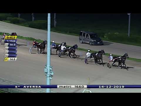 Aversa trotto 14 Dicembre 2019 - 5° Corsa
