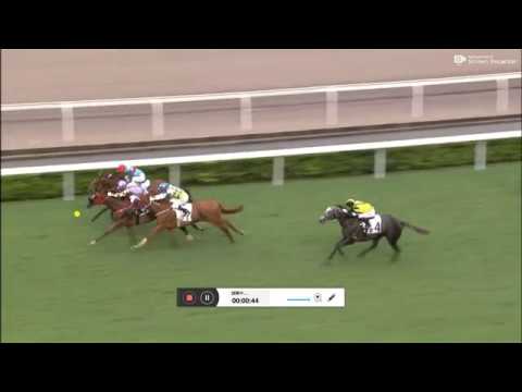 2017/18 馬季完滿結束, 從化基地正式投入服務, 莫震華不幸逝世遺愛人間, 展望2018/19馬季9月2號開鑼