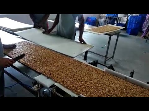 Fully Automatic Chikki Making Machines